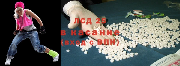 ГАЛЛЮЦИНОГЕННЫЕ ГРИБЫ Белоозёрский