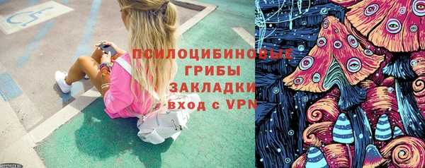 a pvp Белокуриха