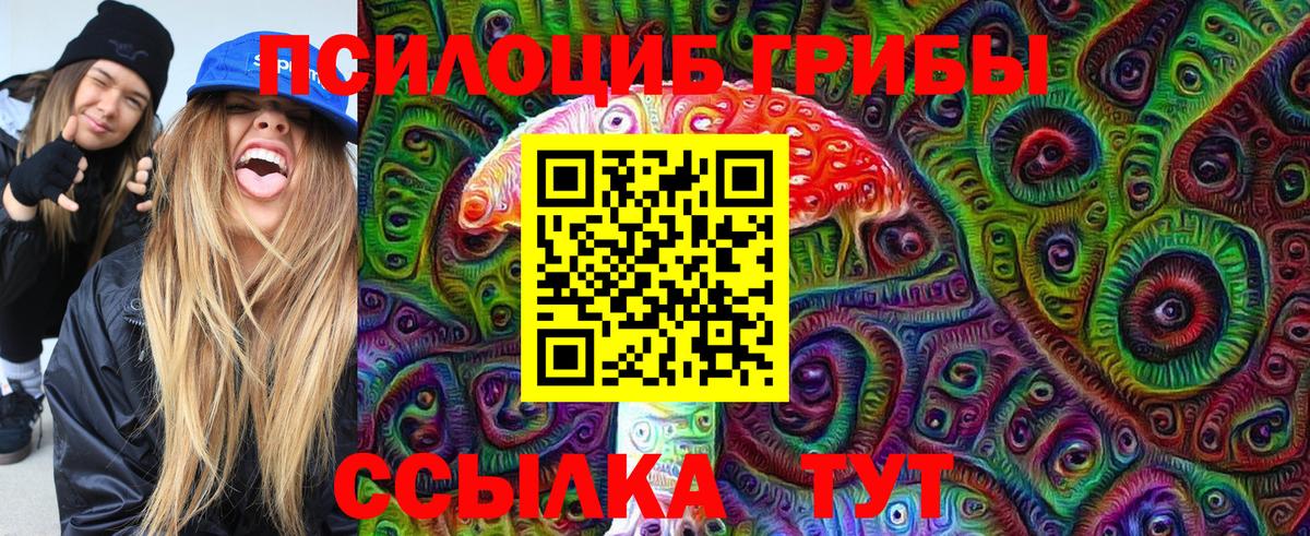 Галлюциногенные грибы Psilocybe Сердобск